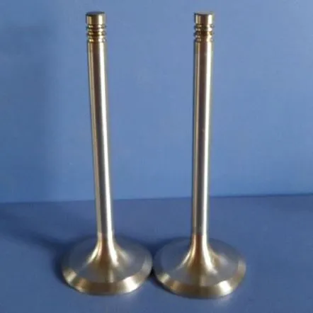 Motorkerékpár motor bemeneti és kimeneti szelepe a Suzuki-hoz