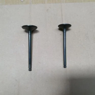 Motorkerékpár motor szelep QINGQI QM200GY