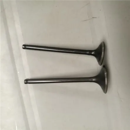 SHINERAY CHIEF XY250-5A Inlet Engine Valve For Motorcycle