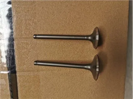 SHINERAY XY{0}}X kipufogómotor szelep motorkerékpárhoz